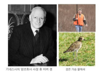 수정됨_다운로드.jpg